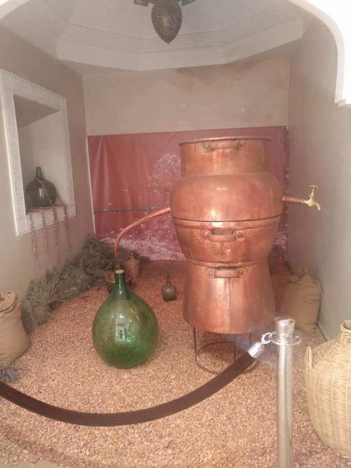 Alambique de cobre para destilación de aceites esenciales
